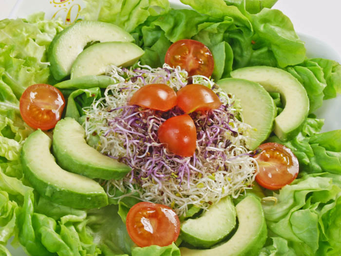 Avocado Salad